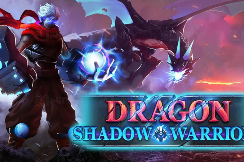 Dragon Shadow Warriors - Unity Source Code