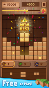 Wood Block Puzzle : Classic
