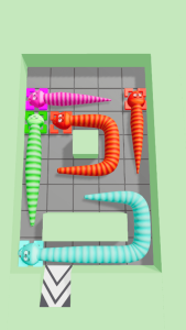 Snake Puzzle