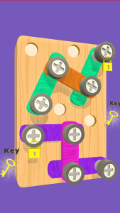Screw Puzzle – Nut and Bolts