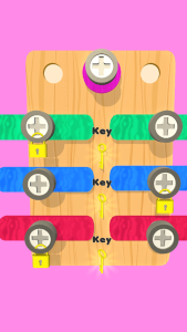 Screw Puzzle – Nut and Bolts