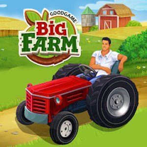 Big Farm Land