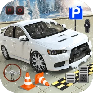 Real Advance Car Parking 3D