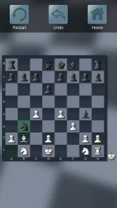 Chess Game Template - Unity Chess Game Source Code