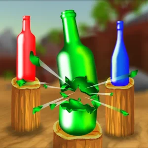 Bottle Shooter