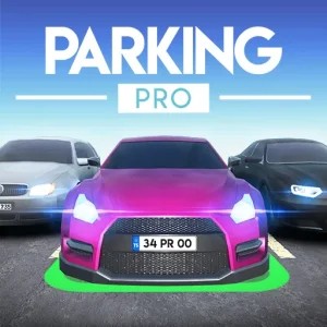 Parking Pro Car Game