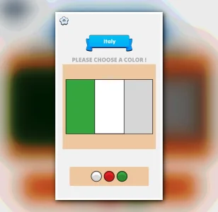 Flag Painting Puzzle