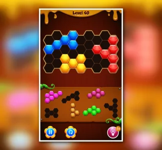 Hexa Puzzle Blocks