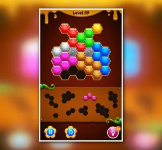 Hexa Puzzle Blocks