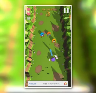 Forest Ninja – Sword Fighter