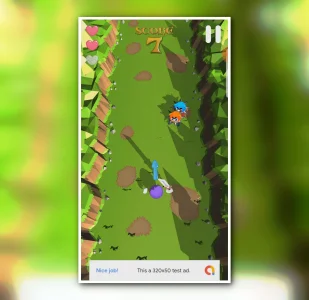Forest Ninja – Sword Fighter
