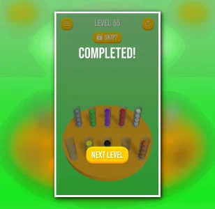 Sort the Ball Puzzle