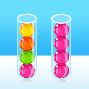 Sort the Ball Puzzle